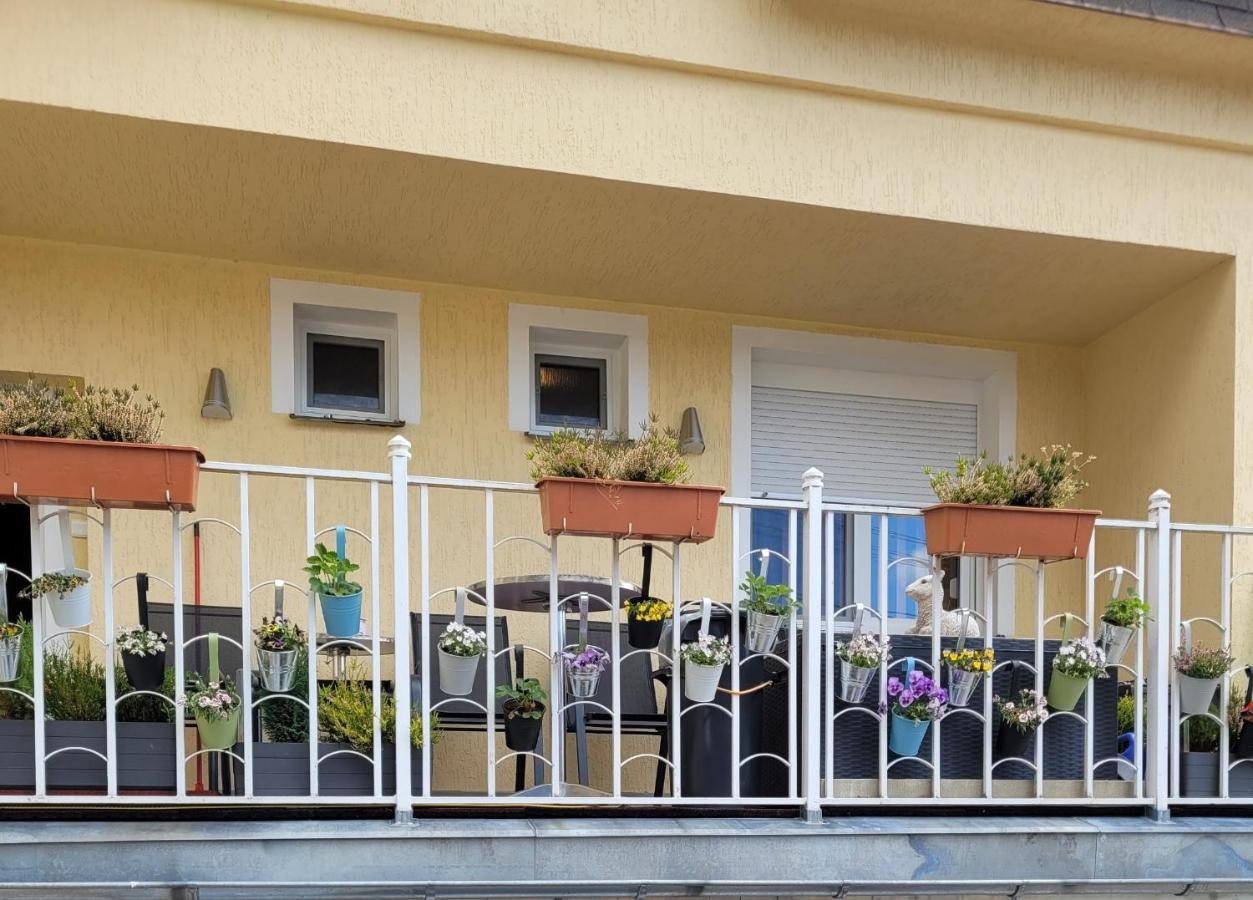 Pension Relax U Komina Františkovy Lázně Eksteriør billede